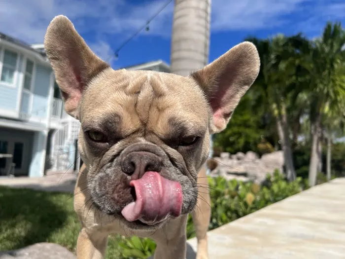 Westshore Animal Hospital Picture 10