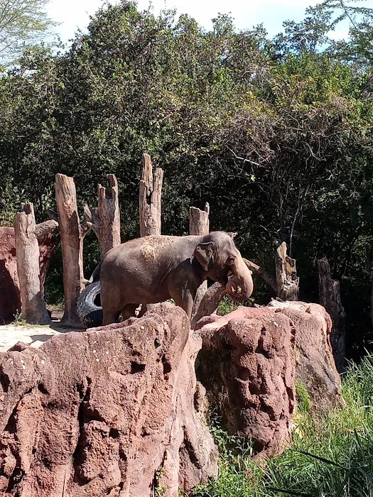 Busch Gardens Animal Care Center Picture 3
