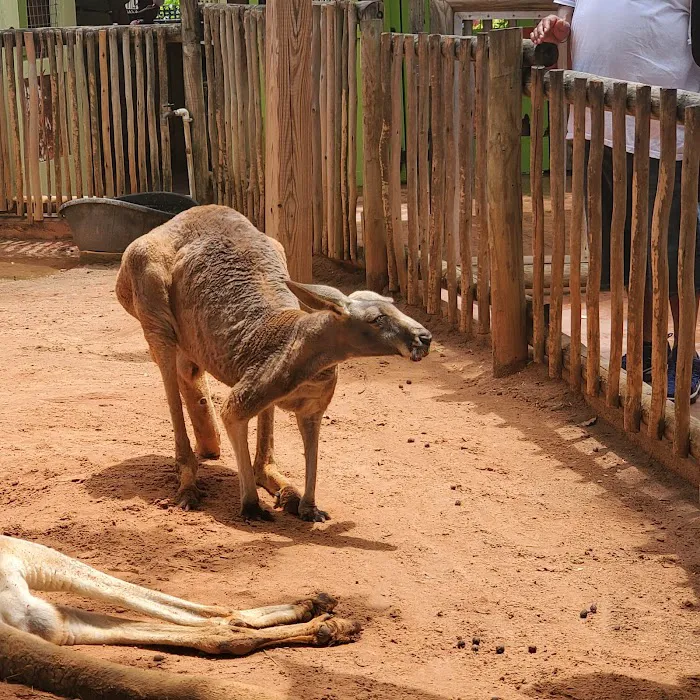 Busch Gardens Animal Care Center Picture 4