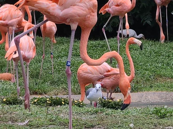 Busch Gardens Animal Care Center Picture 5