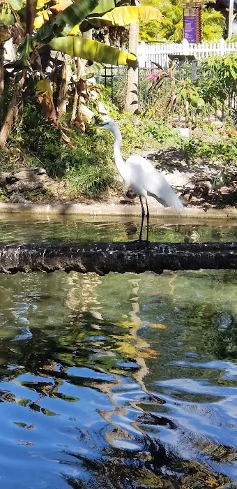 Busch Gardens Animal Care Center Picture 9