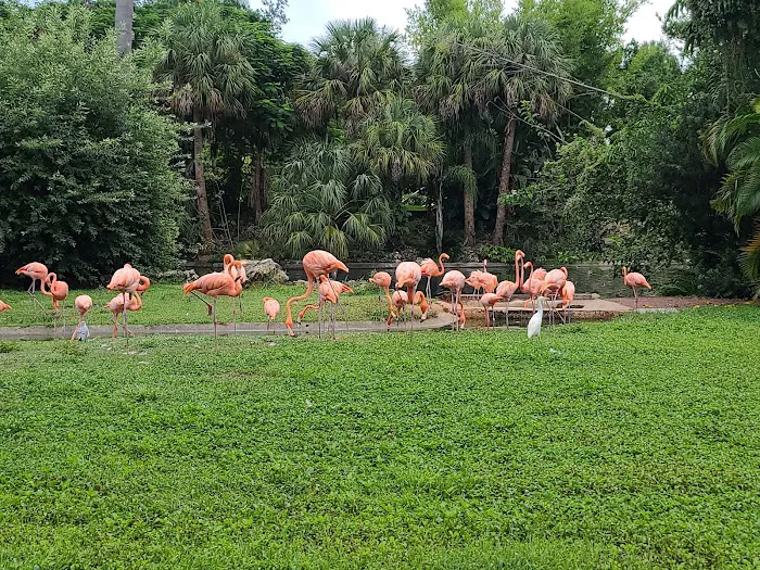 Busch Gardens Animal Care Center Picture 8