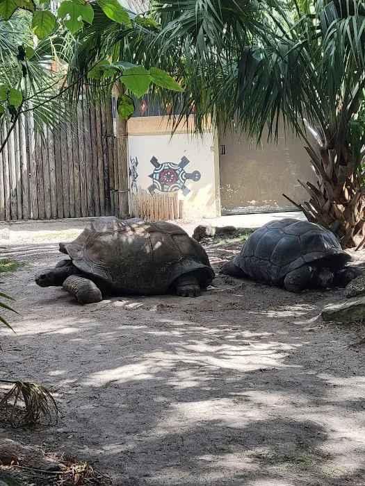 Busch Gardens Animal Care Center Picture 10