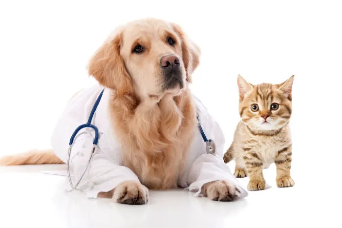 Busch Animal Hospital Picture 1