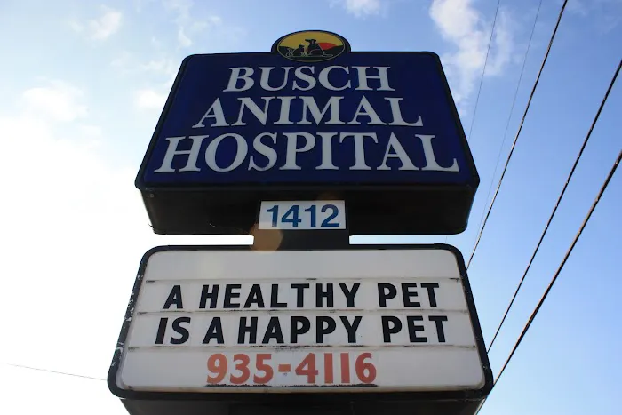 Busch Animal Hospital Picture 4