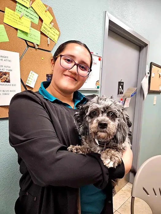 Temple Terrace Animal Hospital Picture 5
