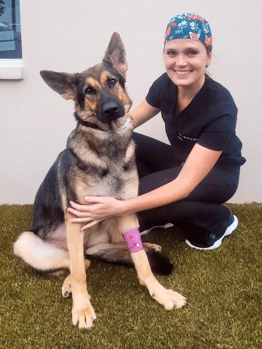 Temple Terrace Animal Hospital Picture 9