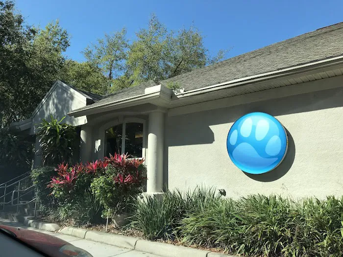 BluePearl Pet Hospital Picture 9
