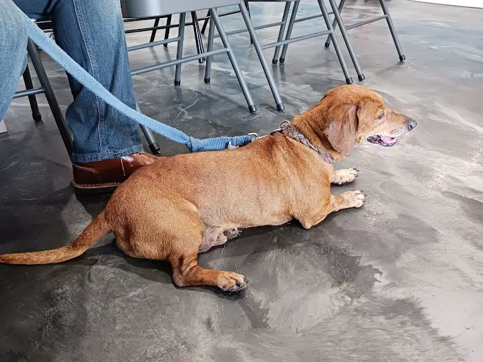 Harmony Vet Care of Carrollwood Picture 3