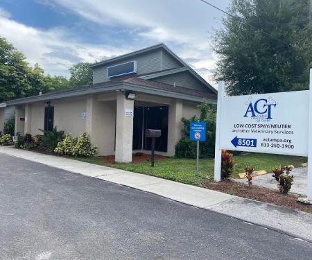 Animal Coalition of Tampa
