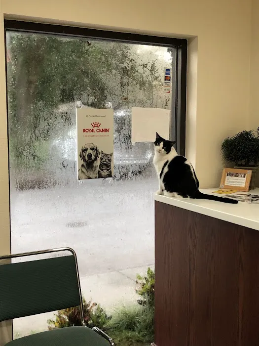 Animal Coalition of Tampa Picture 9