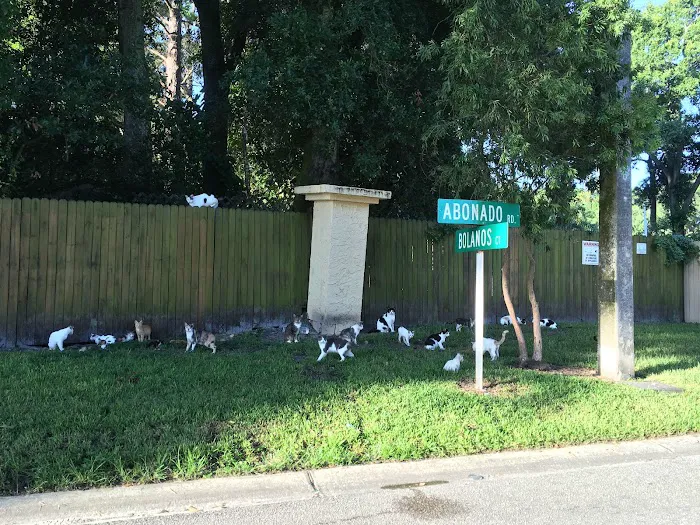 Animal Coalition of Tampa Picture 10