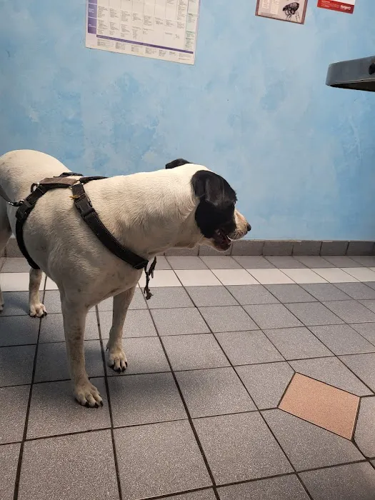 Gateway Animal Hospital Picture 1