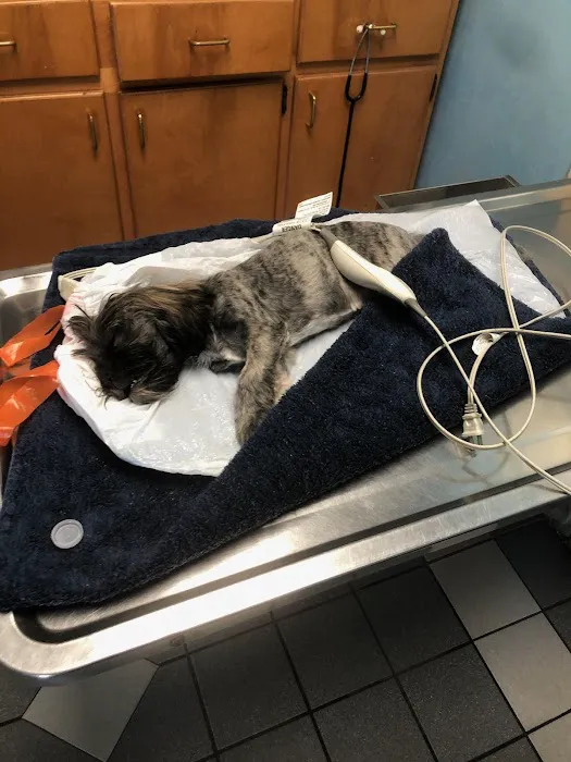 Gateway Animal Hospital Picture 7