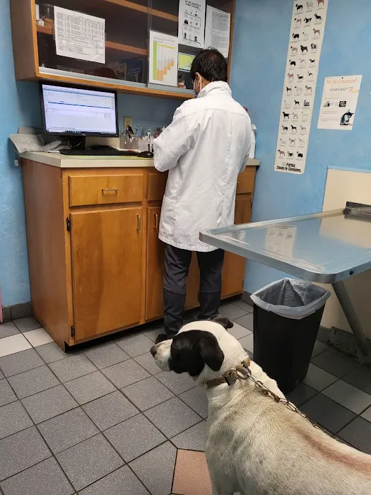 Gateway Animal Hospital Picture 8
