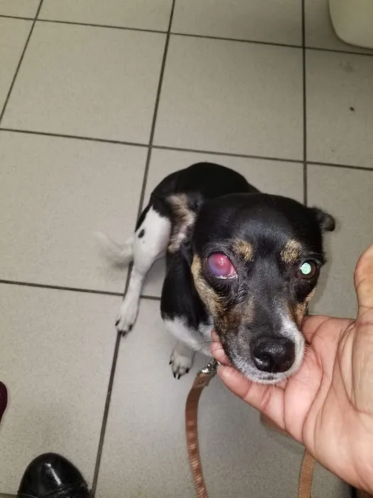 Gateway Animal Hospital Picture 9