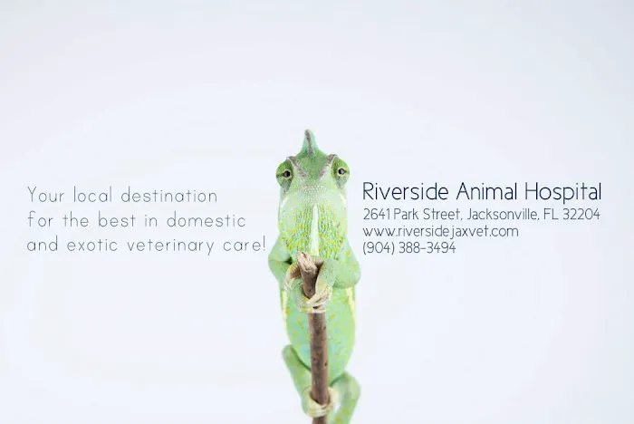 Riverside Animal Hospital Picture 1