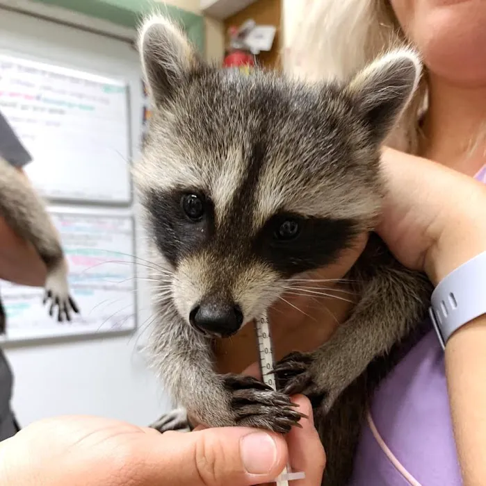 Riverside Animal Hospital Picture 10