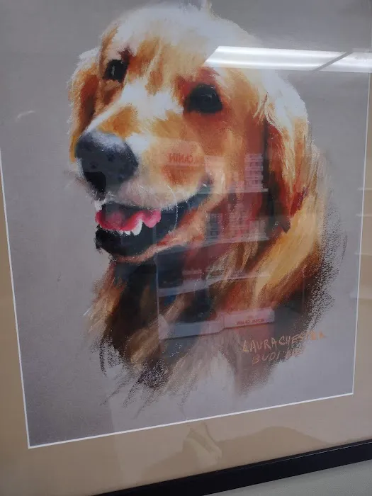 Southside Animal Clinic Picture 9