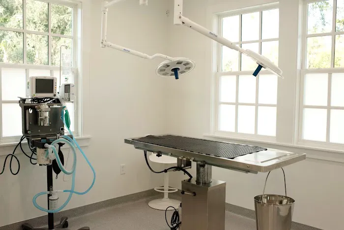 Avondale Animal Hospital Picture 4