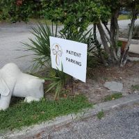 St. Francis Animal Hospital ico