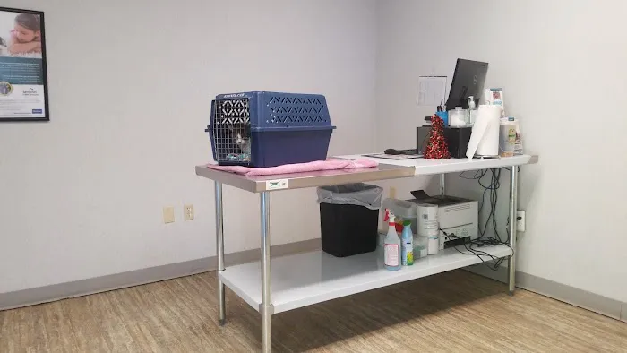 St. Francis Animal Hospital Picture 5