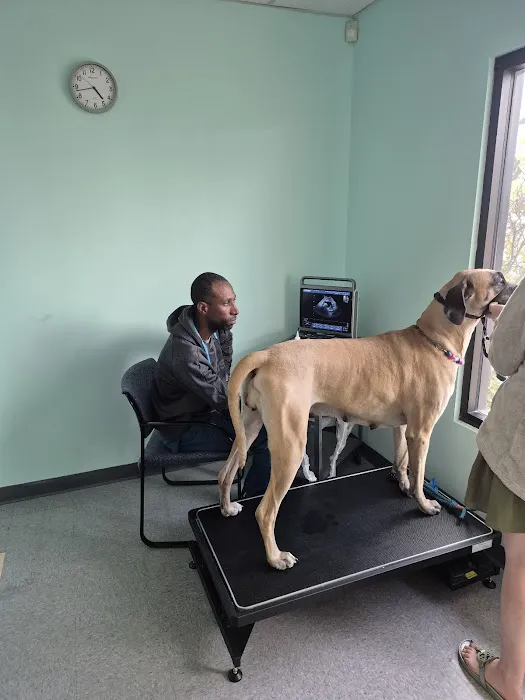 Veterinary Care University Picture 1