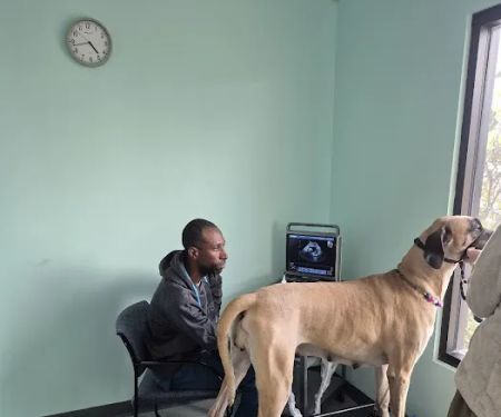 Veterinary Care University