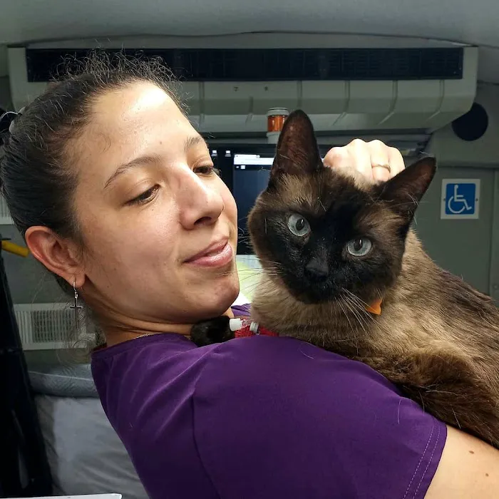 Veterinary Care University Picture 2
