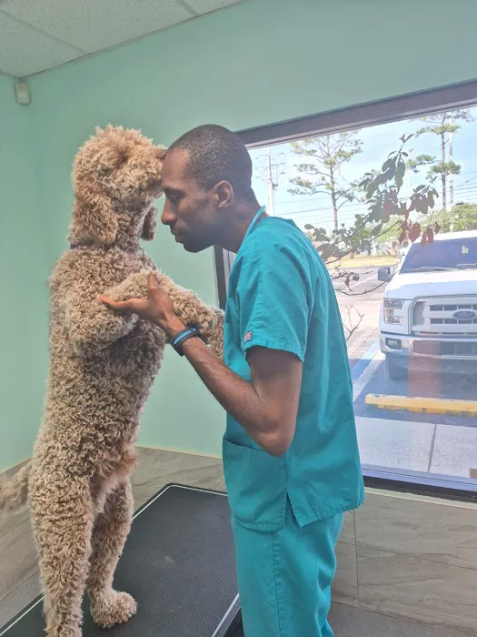 Veterinary Care University Picture 6