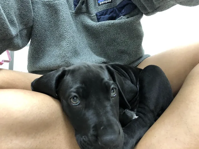 River City Veterinary Hospital Picture 1