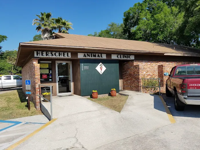 River City Veterinary Hospital Picture 6
