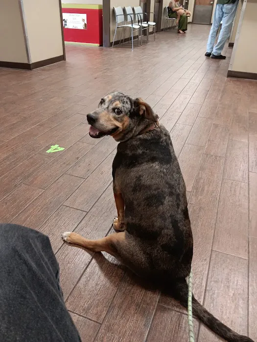 First Coast No More Homeless Pets /Joseph A. Strasser Regional Veterinary Hospital Picture 1