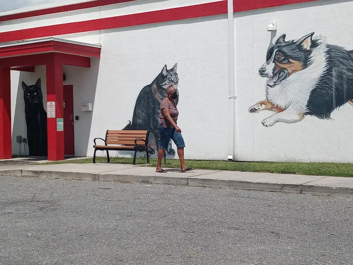 First Coast No More Homeless Pets /Joseph A. Strasser Regional Veterinary Hospital Picture 6