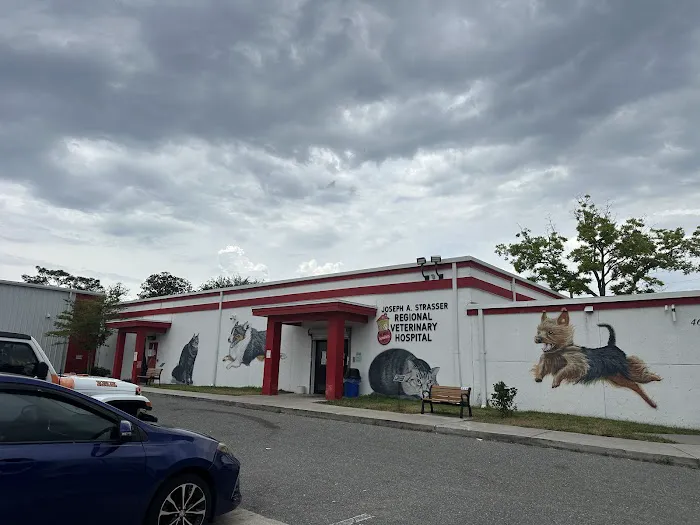 First Coast No More Homeless Pets /Joseph A. Strasser Regional Veterinary Hospital Picture 3