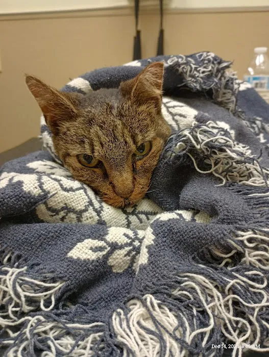 First Coast No More Homeless Pets /Joseph A. Strasser Regional Veterinary Hospital Picture 9