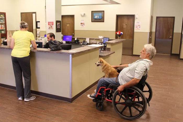 First Coast No More Homeless Pets Picture 1