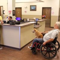 First Coast No More Homeless Pets ico