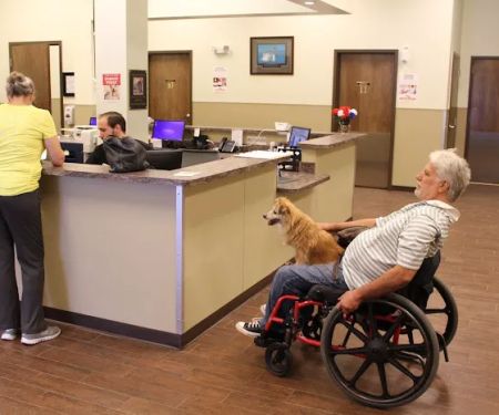 First Coast No More Homeless Pets