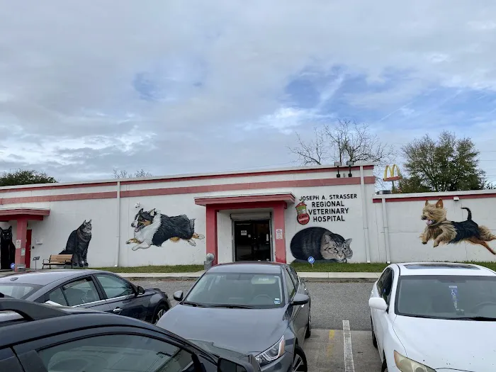 First Coast No More Homeless Pets Picture 3