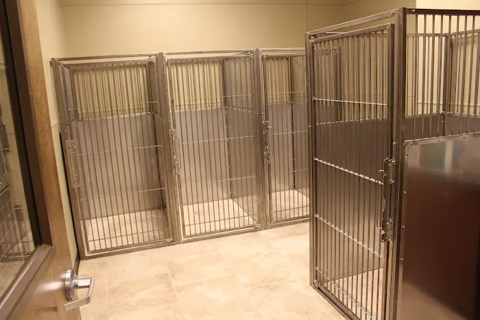 First Coast No More Homeless Pets Picture 5
