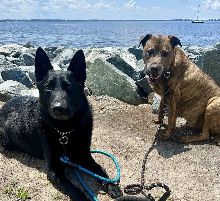 First Coast No More Homeless Pets Picture 8