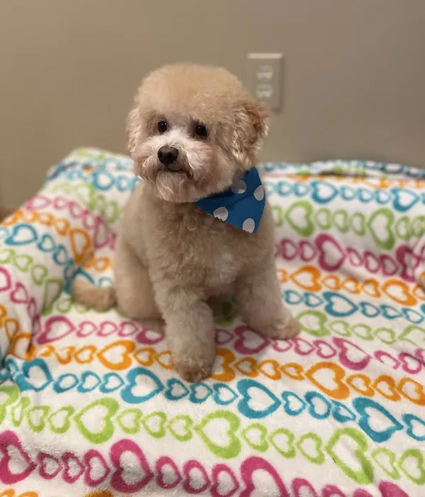 Banfield Pet Hospital Picture 7