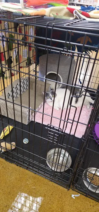 Pet Central Animal Hospital Picture 2
