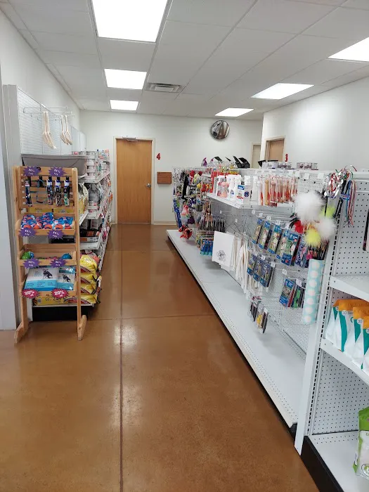 Pet Central Animal Hospital Picture 6