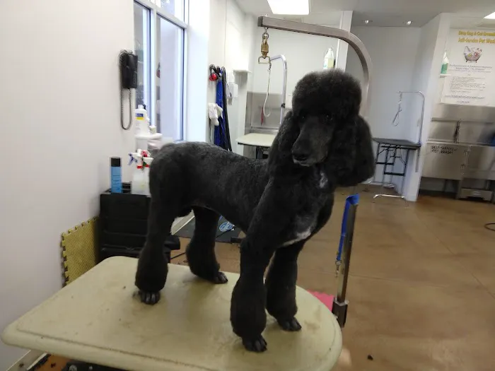Pet Central Animal Hospital Picture 7