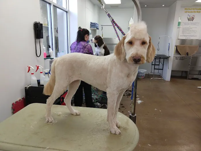Pet Central Animal Hospital Picture 9