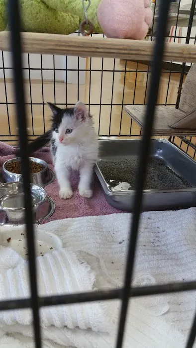 Pet Central Animal Hospital Picture 8