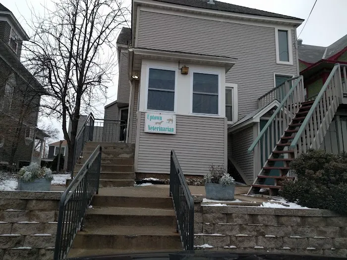 Uptown Veterinarian Picture 3