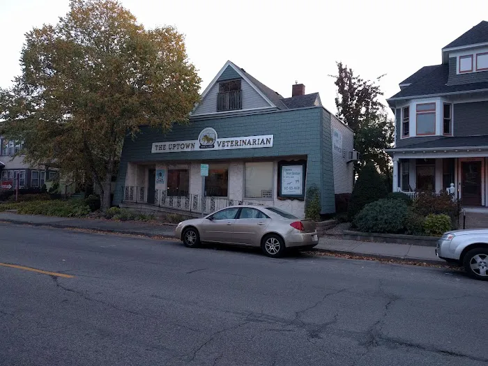 Uptown Veterinarian Picture 4